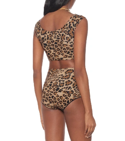 Shop Karla Colletto Bree Leopard Bikini Top In Brown