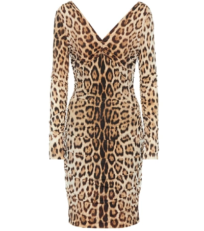 Shop Roberto Cavalli Leopard-print Dress In Brown