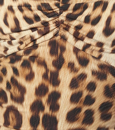 Shop Roberto Cavalli Leopard-print Dress In Brown