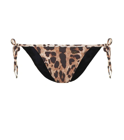 Shop Dolce & Gabbana Leopard-printed Bikini Bottoms In Brown