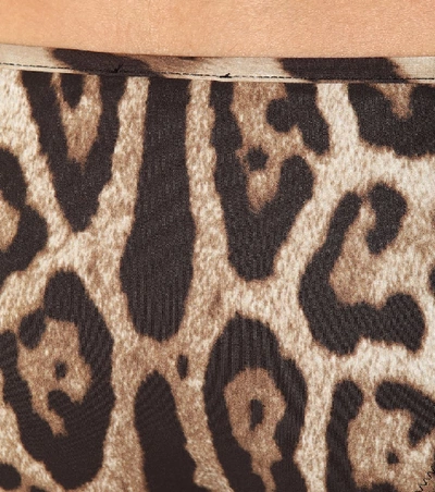 Shop Dolce & Gabbana Leopard-printed Bikini Bottoms In Brown