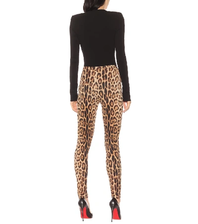 Shop Roberto Cavalli Leopard-print Leggings In Brown