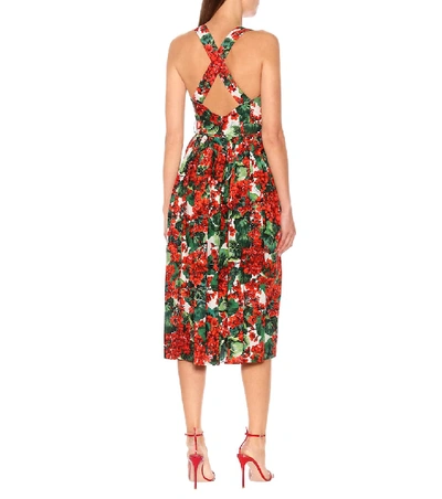 Shop Dolce & Gabbana Floral Cotton Midi Dress In Red
