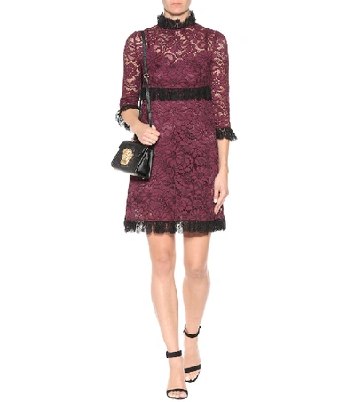 Shop Dolce & Gabbana Lace Minidress In Purple