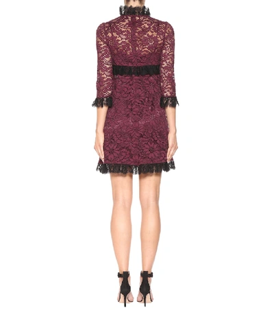 Shop Dolce & Gabbana Lace Minidress In Purple