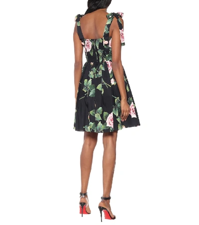 Shop Dolce & Gabbana Floral Cotton Minidress In Black