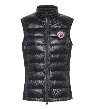 Shop Canada Goose Hybridge® Lite Down Vest In Black