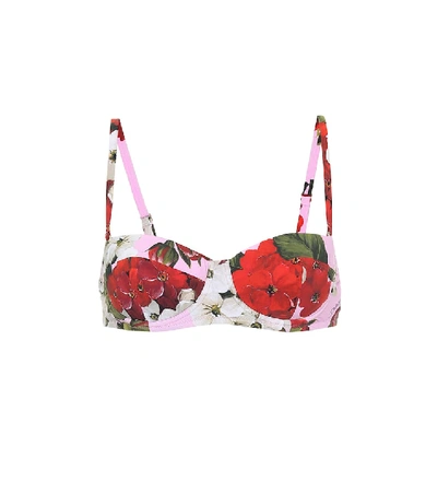 Shop Dolce & Gabbana Floral Bikini Top In Pink