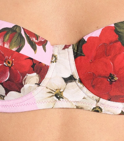 Shop Dolce & Gabbana Floral Bikini Top In Pink