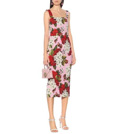 Shop Dolce & Gabbana Floral Cady Midi Dress In Pink