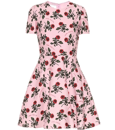 Shop Valentino Floral Silk And Wool-blend Dress In Pink
