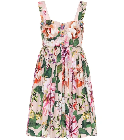 Shop Dolce & Gabbana Floral Cotton Minidress In Pink