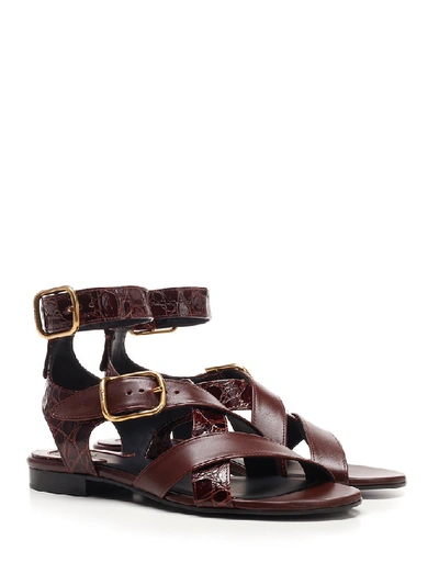 Shop Chloé Daisy Flat Sandals In Brown