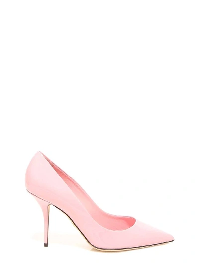 Shop Dolce & Gabbana Pointed Toe Stiletto Pumps In Pink
