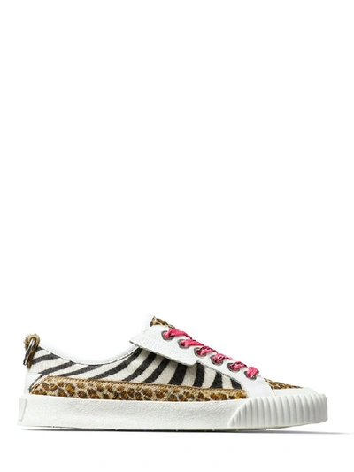 Shop Jimmy Choo Impala Animal Print Trainers In Multi