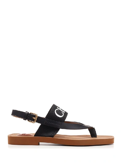 Shop Chloé Woody Logo Strap Sandals In Black