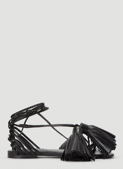 Shop Jil Sander Ankle In Black