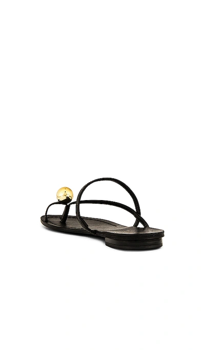 Shop Raye Palma Sandal In Black