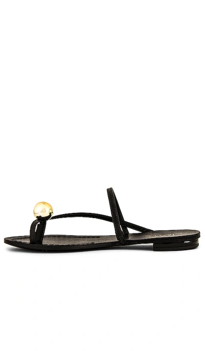 Shop Raye Palma Sandal In Black