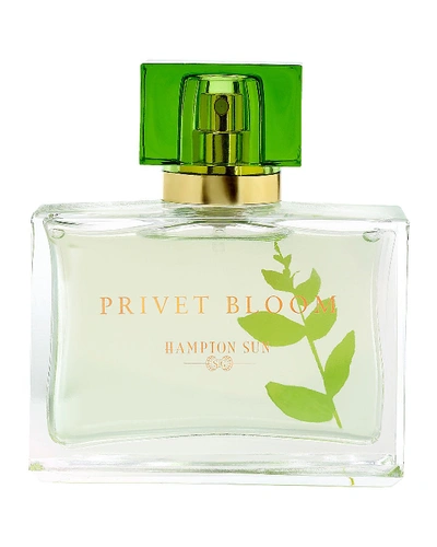 Shop Hampton Sun Privet Bloom Eau De Parfum, 1.7 Oz.