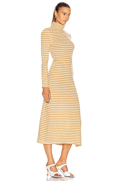 Shop Loewe Stripe High Neck Jersey Dress In Beige