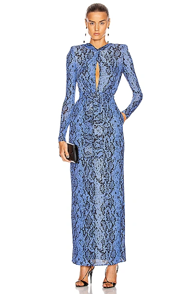 Shop Dundas Long Sleeve Maxi Dress In Blue Python