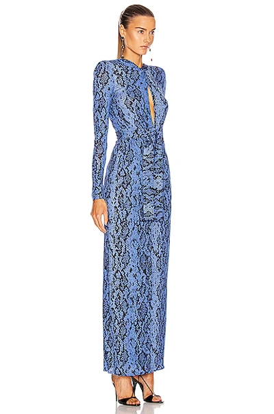 Shop Dundas Long Sleeve Maxi Dress In Blue Python