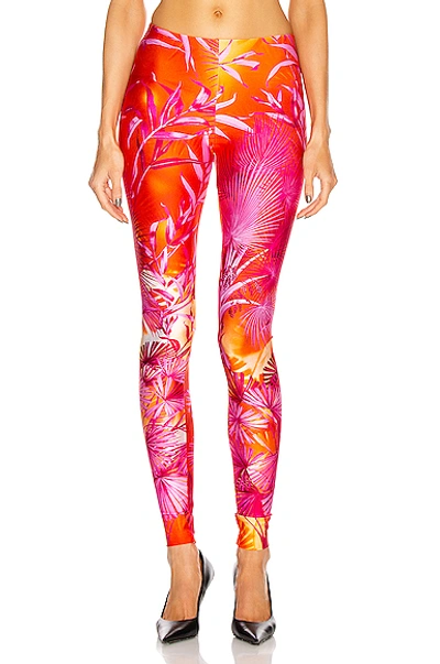 Shop Versace Skinny Palm Legging In Fuchsia & Orange