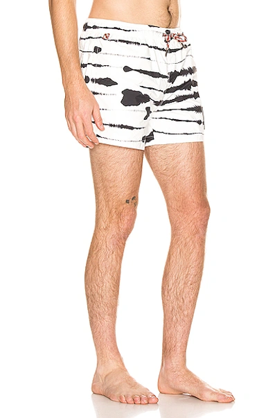 Shop Burberry Greenford Swim Short In Monochrome