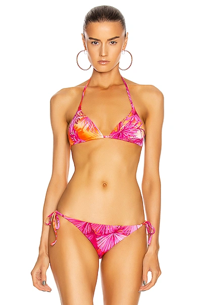 Shop Versace Triangle Bikini Top In Fuchsia & Orange