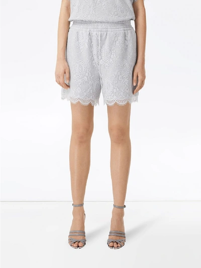 Shop Burberry Cotton Shorts In Grey