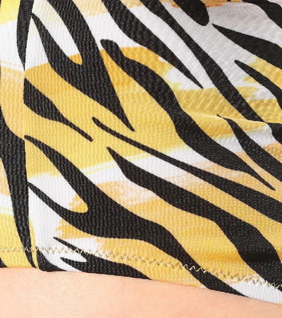 Reina Olga Hutton High-rise Tiger-print Bikini Briefs In Yellow