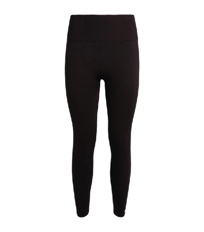 Shop Adidas Originals Adidas Seamless Tights