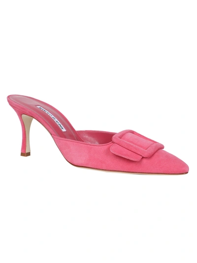 Shop Manolo Blahnik Masyale Mule Lilium 823 In Pink