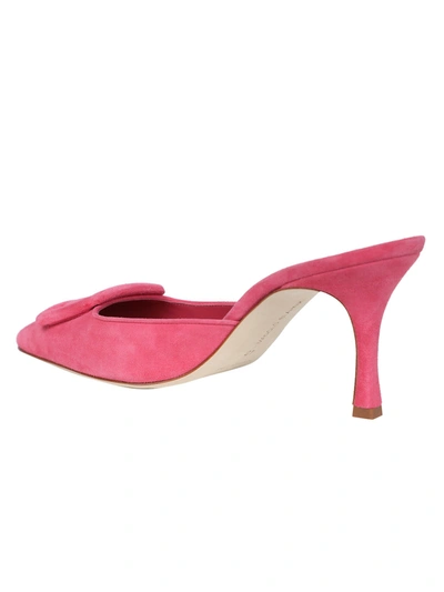 Shop Manolo Blahnik Masyale Mule Lilium 823 In Pink