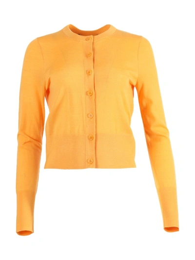 Shop Sies Marjan Apricot Cardigan Wool Knit Sweater In Yellow