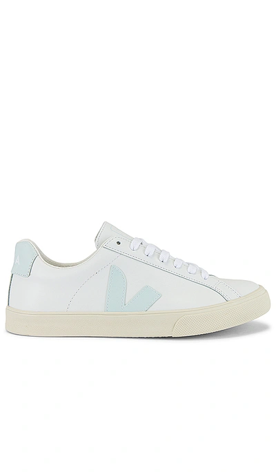 Shop Veja Esplar Sneaker In Extra White & Menthol