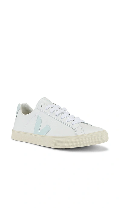Shop Veja Esplar Sneaker In Extra White & Menthol