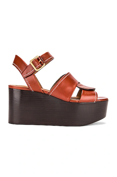 Shop Chloé Candice Platform Sandals In Sepia Brown