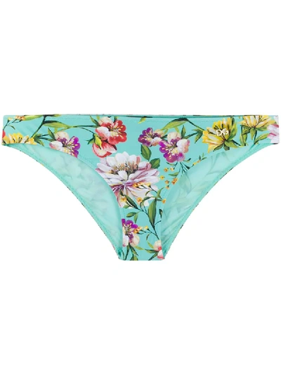 Shop Dolce & Gabbana Floral Print Bikini Bottoms In Blue