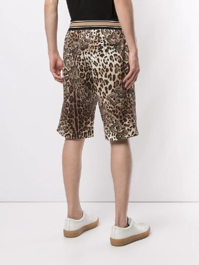 Shop Dolce & Gabbana Leopard-print Shorts In Brown