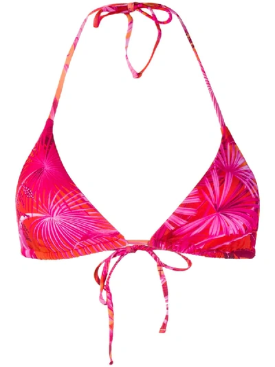 Shop Versace Jungle Print Bikini Top In Pink
