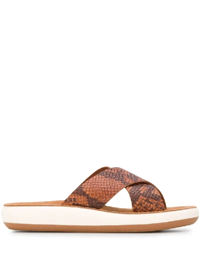 Shop Ancient Greek Sandals Snakeskin Print Slides In Brown