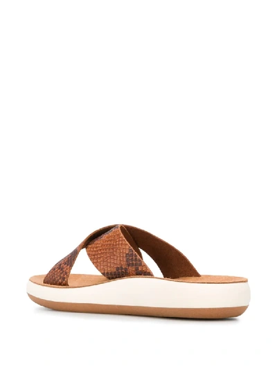 Ancient Greek Sandals Snakeskin Print Slides In Brown