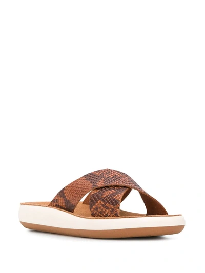 Shop Ancient Greek Sandals Snakeskin Print Slides In Brown