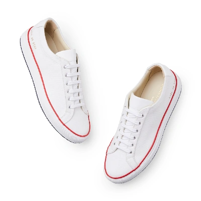 Shop Common Projects Achilles Low Sneakers In White/red