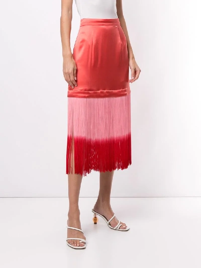 Shop Taller Marmo Fringed Trim Straight Skirt In Pink