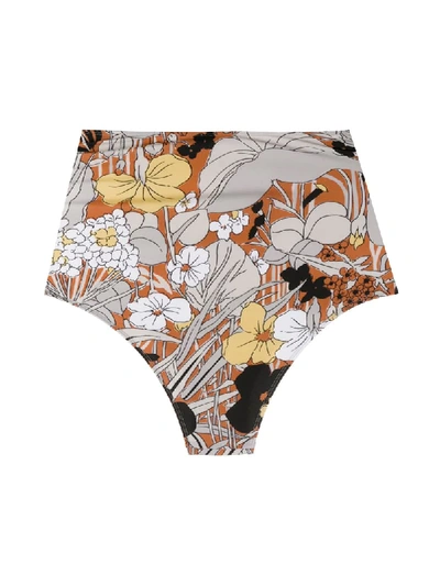 Shop Roseanna Botanique High-rise Bikini Briefs In Brown