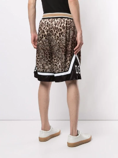 Shop Dolce & Gabbana Leopard-print Shorts In Brown