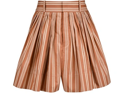 Shop Chloé Cotton Shorts In Amber Brown
